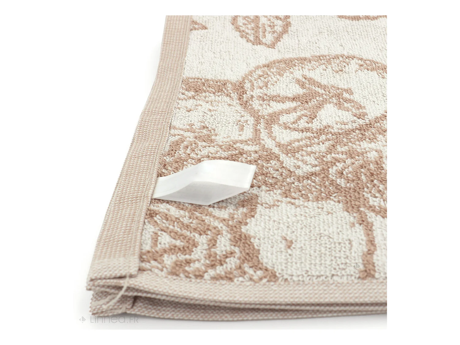 Lot de 2 torchons de cuisine éponge 50x50 cm coton ORGANIC marron