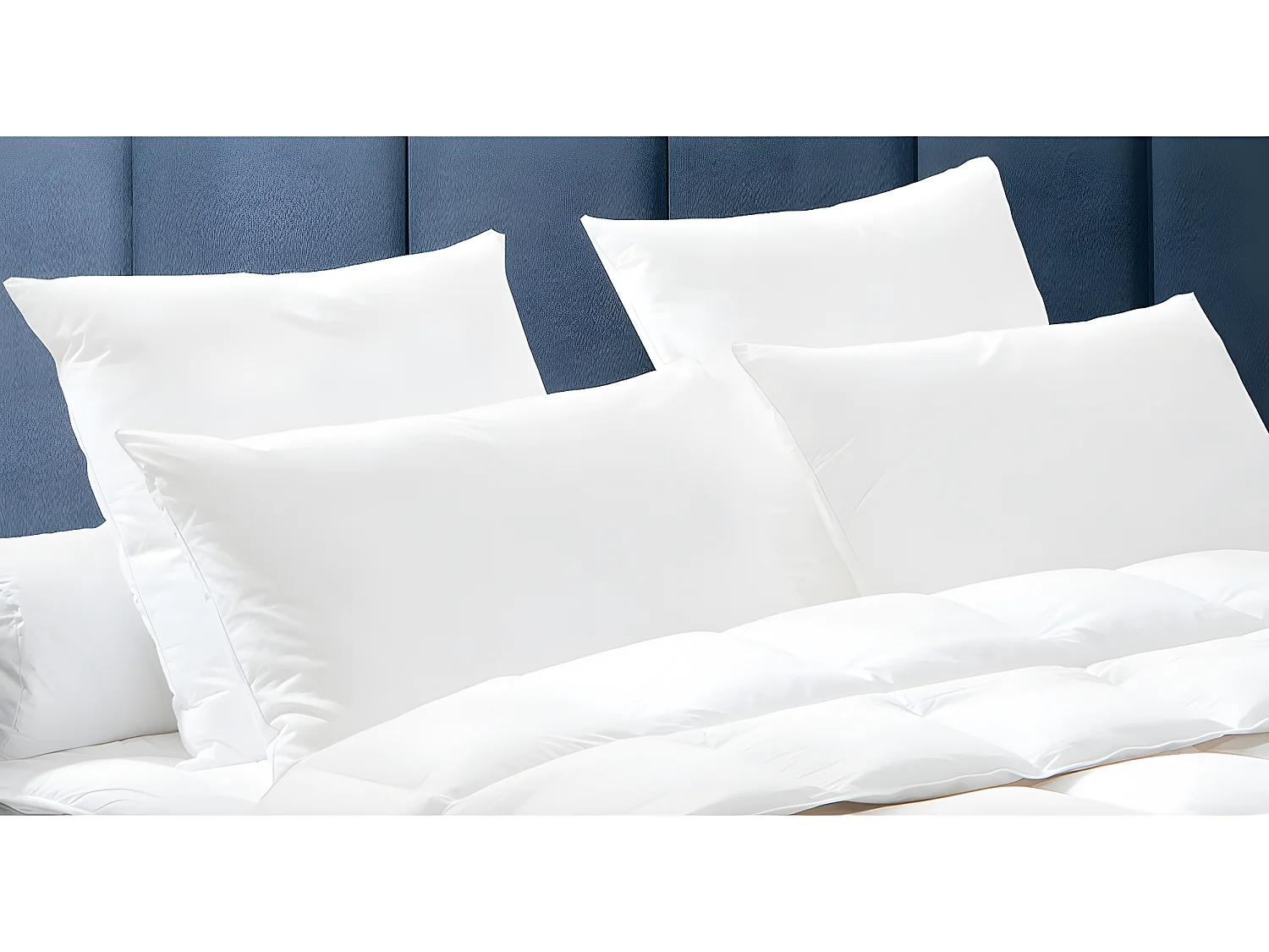 Almohada DODO de plumas naturales BAFFIN - 65x65 cm