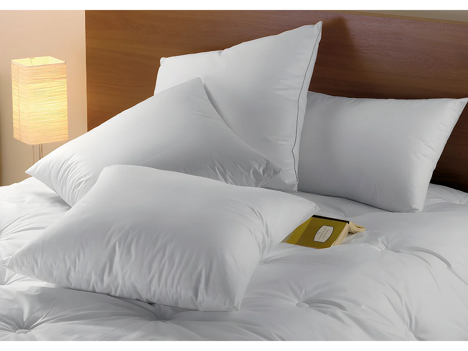 Oreiller DODO Naturel Duvet - 65x65 cm - BAFFIN