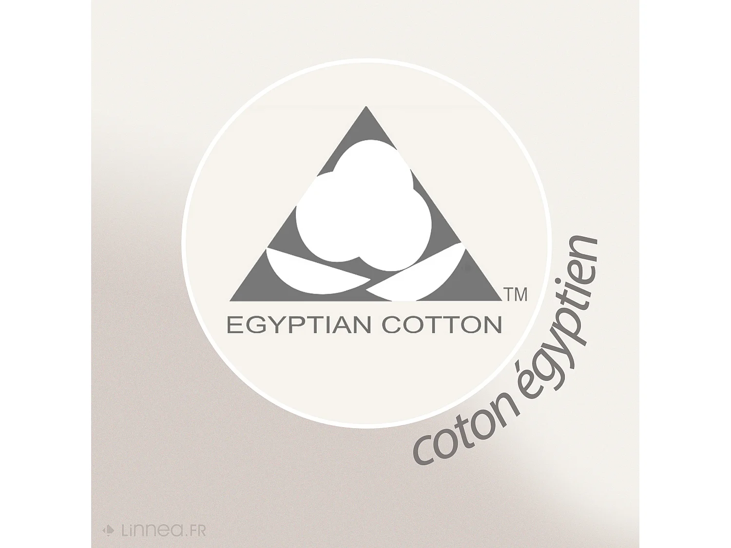 Drap de bain 100x150 cm JULIET Beige 520 g/m2