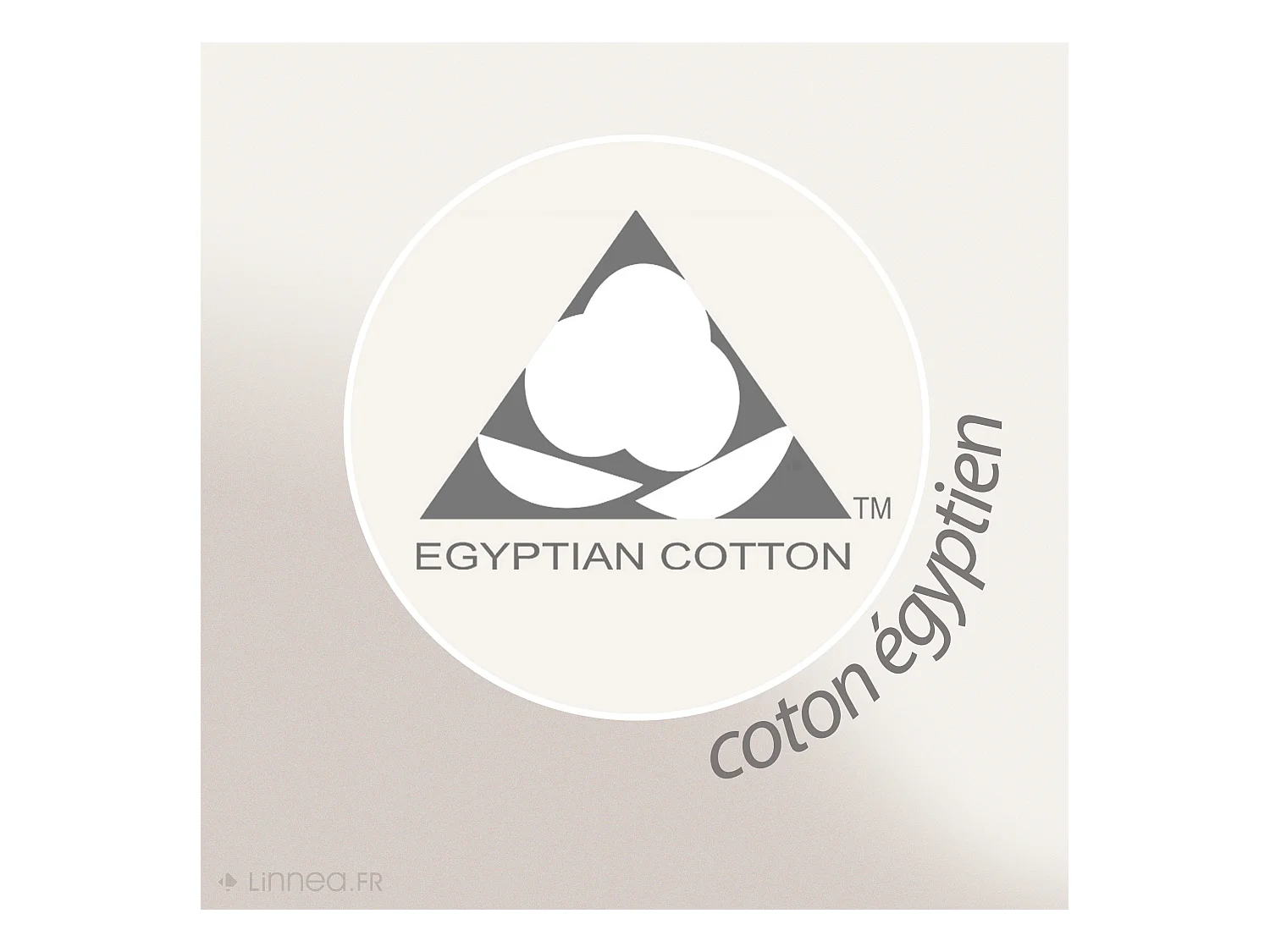 Drap de bain 100x150 cm JULIET Rouge Terracota 520 g/m2