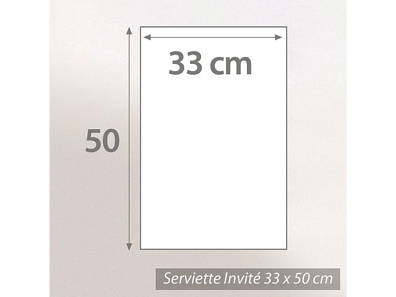 Serviette invité 33x50 cm PURE SQUARES Noir 550 g/m2