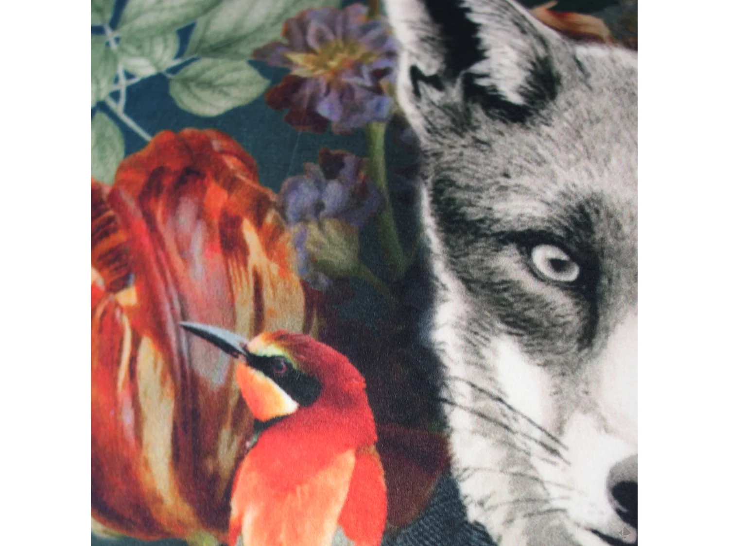 Housse de coussin 45x45 cm WONDERLAND Renard napoléon