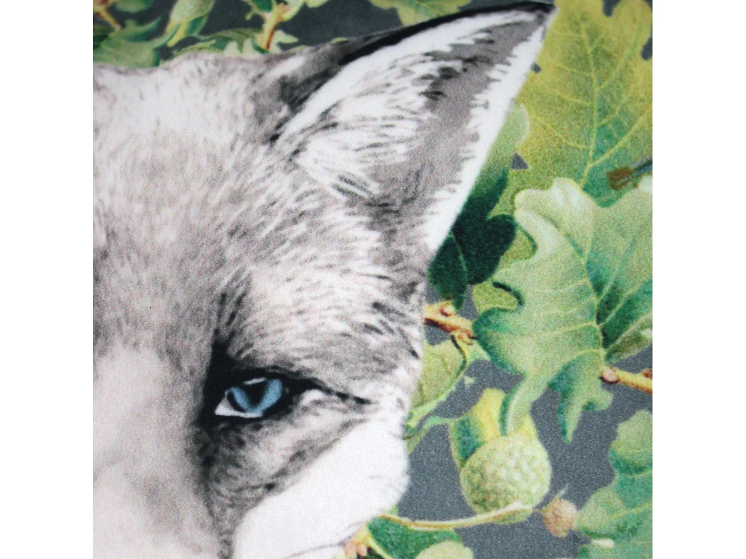 Housse de coussin 45x45 cm WONDERLAND Renard gentleman