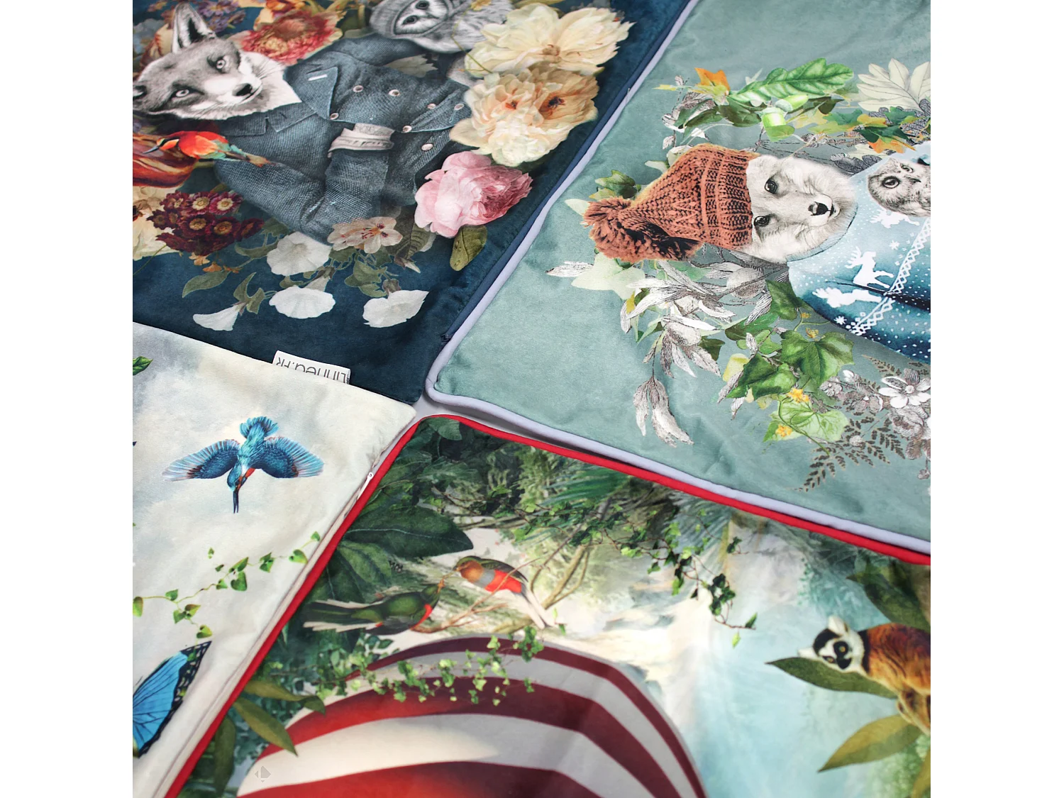 Housse de coussin 45x45 cm WONDERLAND Renard hipster