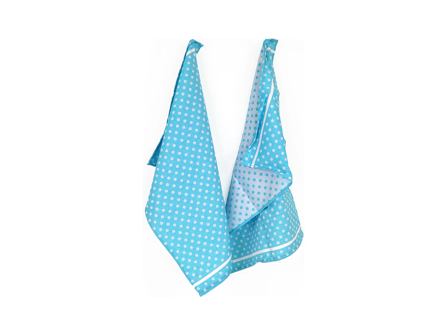 Lot de 2 torchons de cuisine toile 50x70 cm DOTS bleu