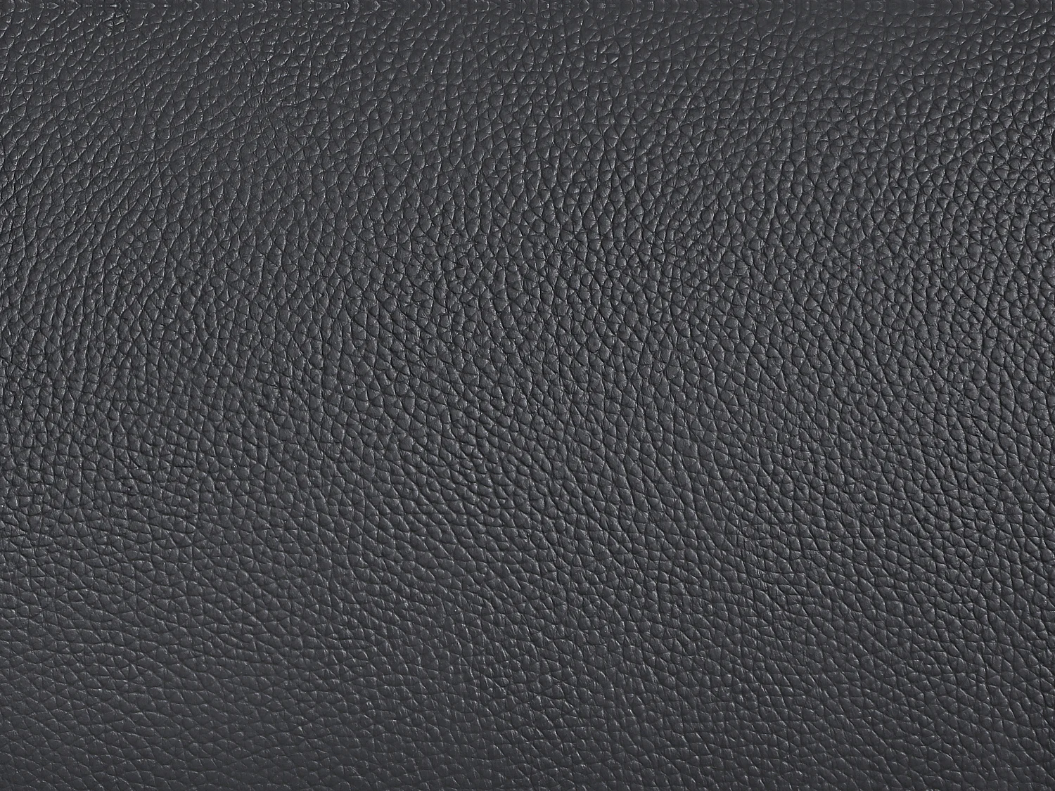 Fauteuil van zwart buffelleder DINNIA