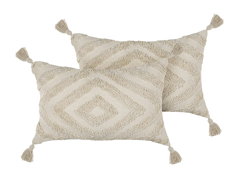 Lot de 2 coussins décoratifs CRATAEGUS Coton 40 x 60 cm Beige clair Motif géométrique