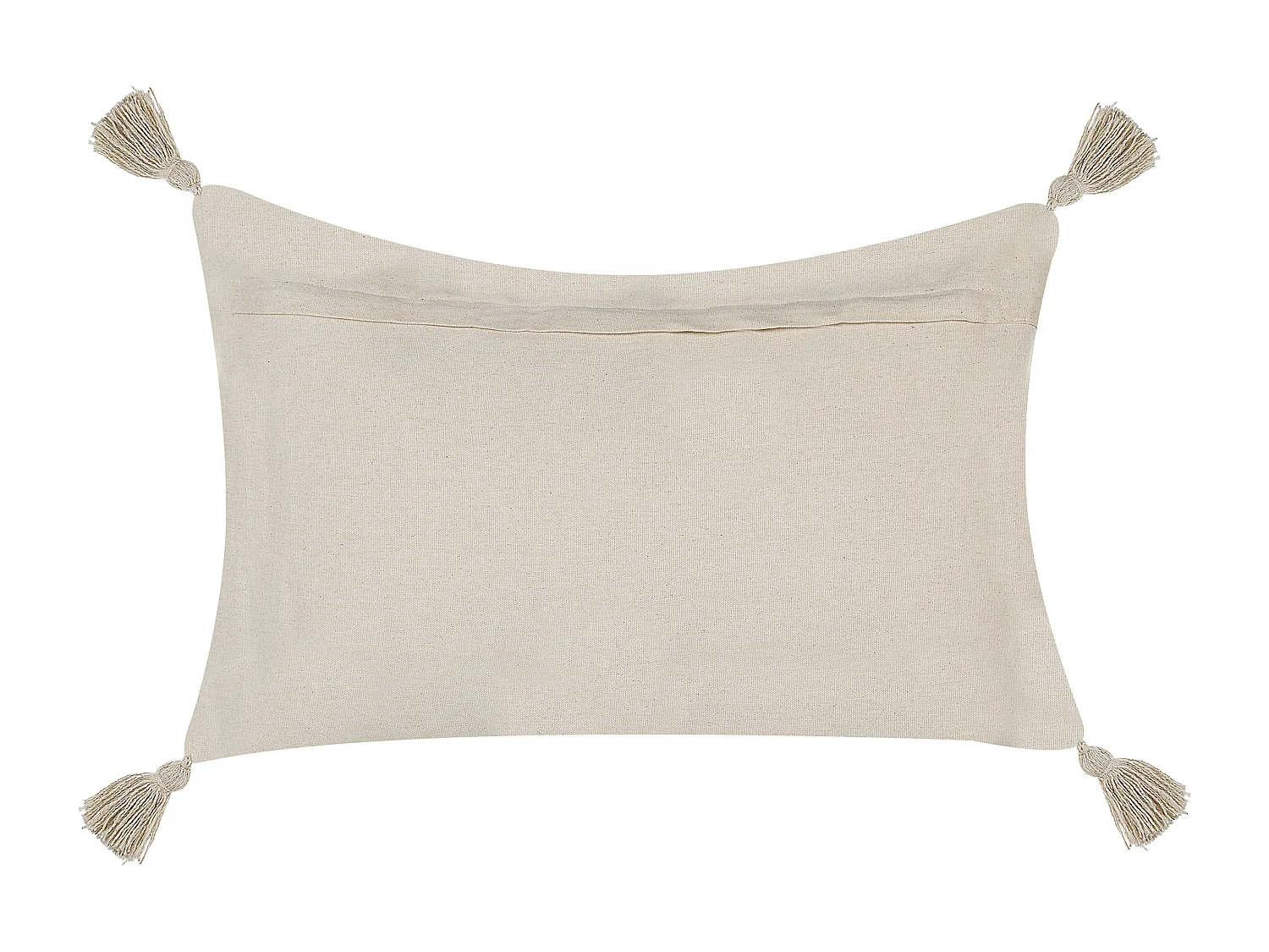 Lot de 2 coussins décoratifs CRATAEGUS Coton 40 x 60 cm Beige clair Motif géométrique