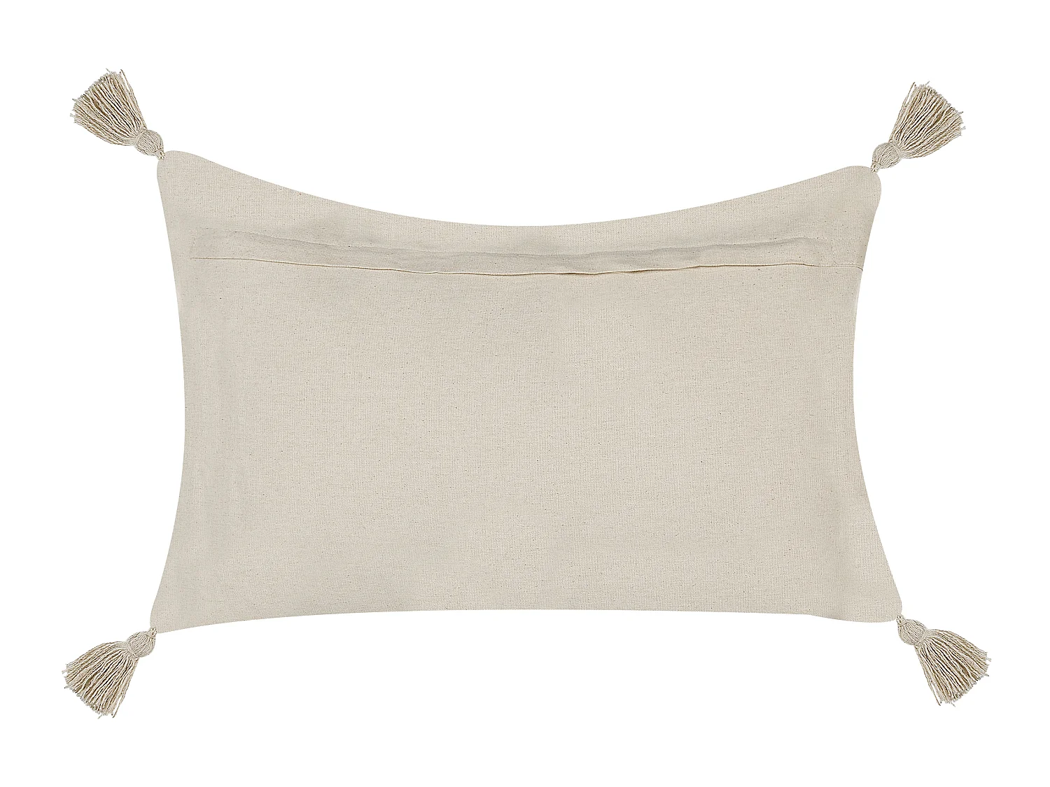 Lot de 2 coussins décoratifs CERINTHE Coton 40 x 60 cm Beige clair Motif à chevrons