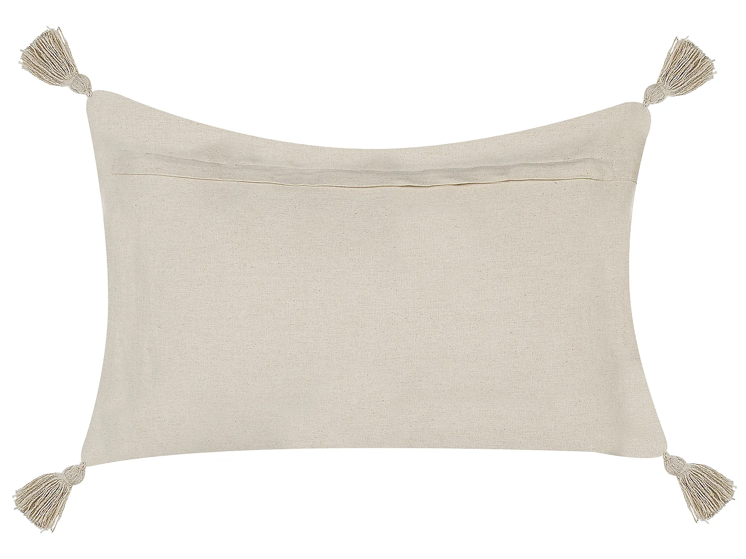 Lot de 2 coussins décoratifs CERINTHE Coton 40 x 60 cm Beige clair Motif à chevrons