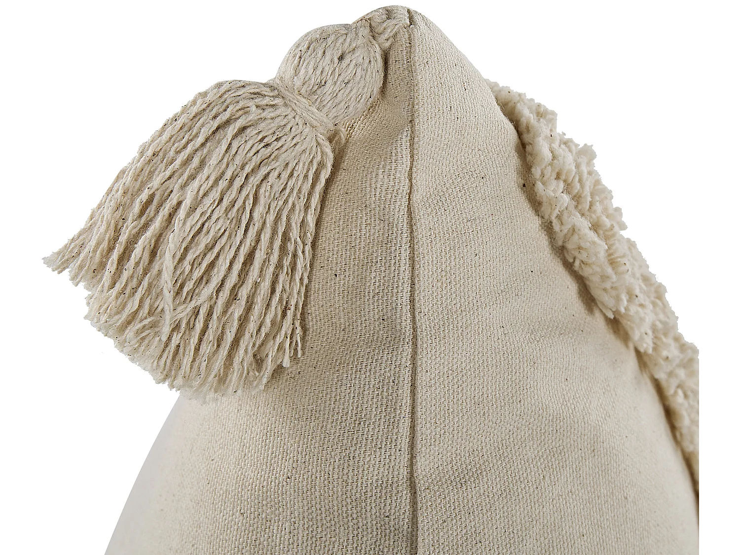 Lot de 2 coussins décoratifs CERINTHE Coton 40 x 60 cm Beige clair Motif à chevrons