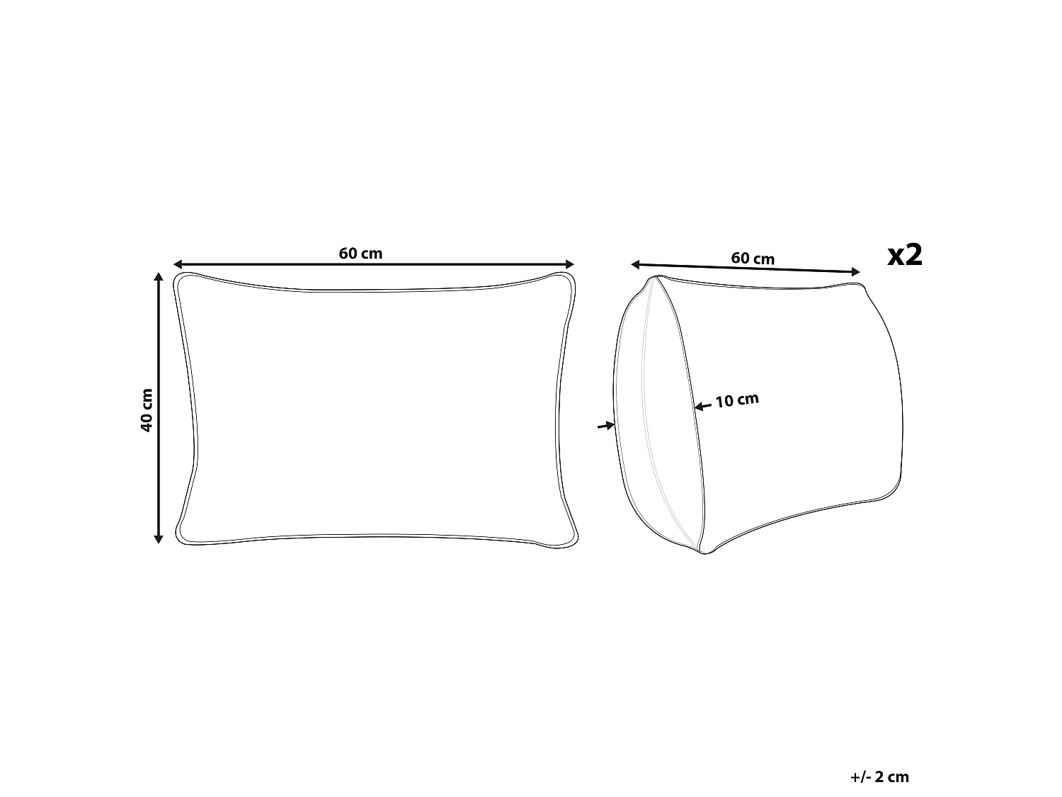 Lot de 2 coussins décoratifs CERINTHE Coton 40 x 60 cm Beige clair Motif à chevrons