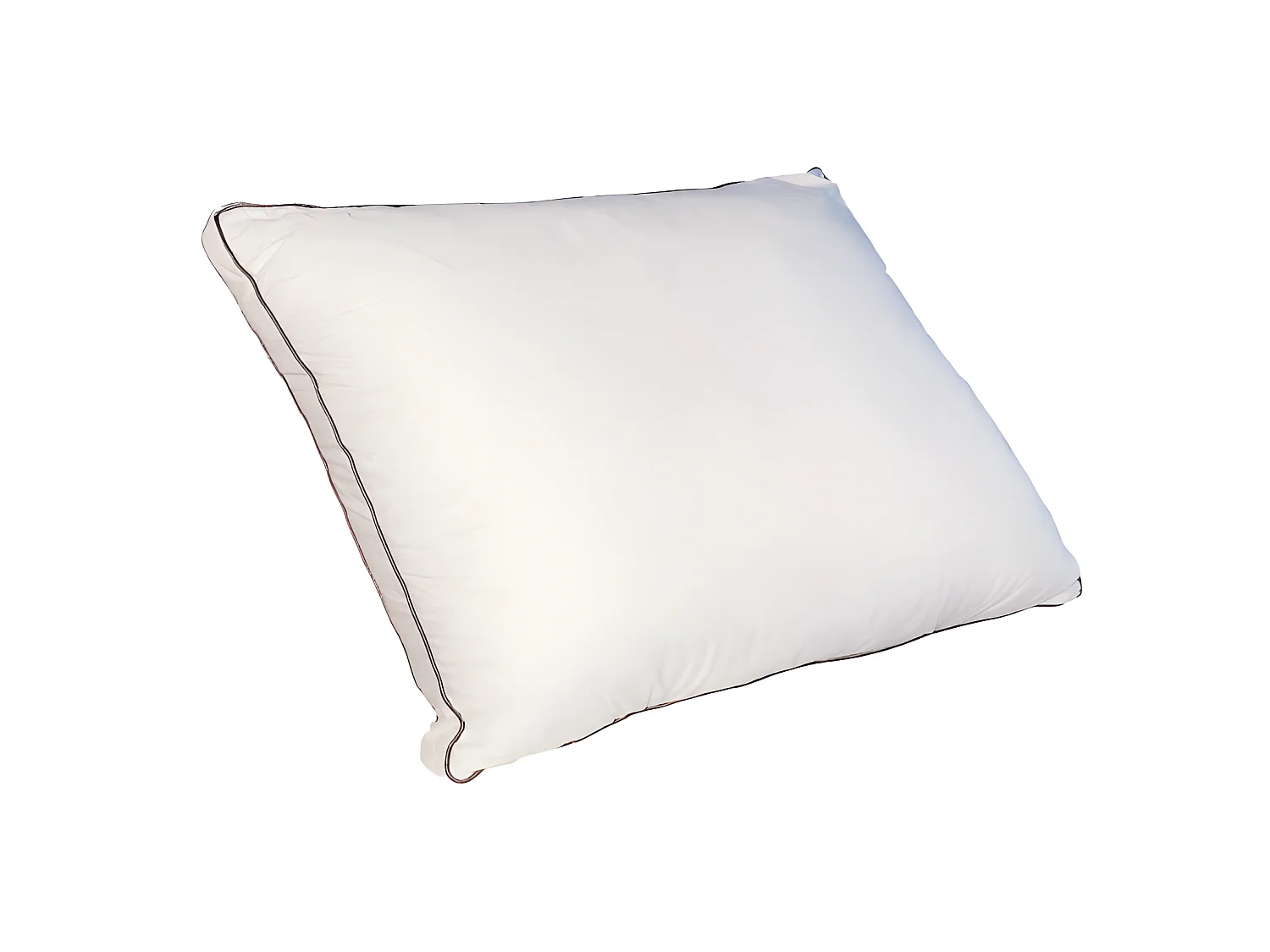 Lot de 2 oreillers sensation duvet en percale de coton 91 fils/cm² 50 x 70 cm - 700 gr - Blanc - AUXENCE