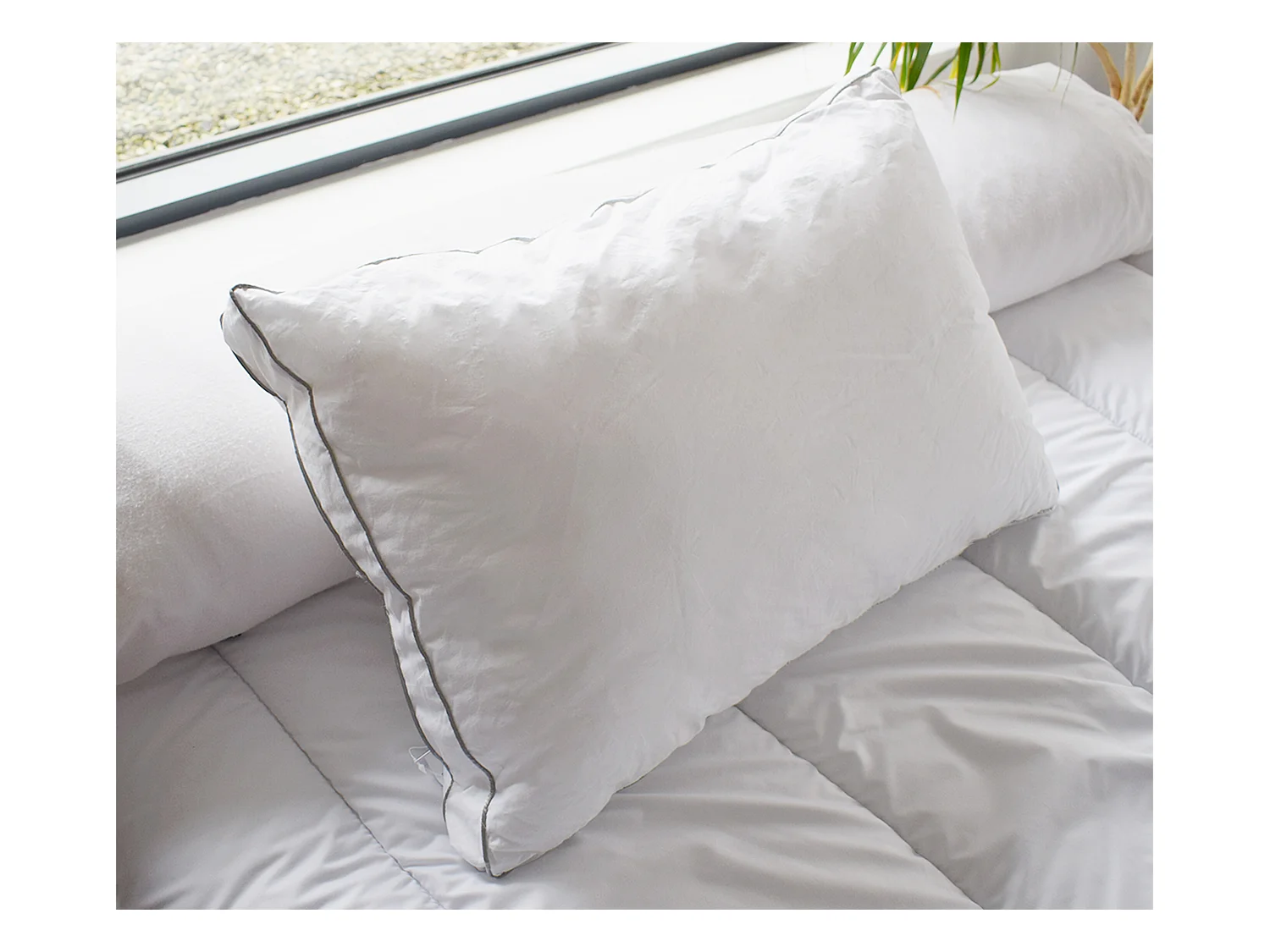 Lot de 2 oreillers sensation duvet en percale de coton 91 fils/cm² 50 x 70 cm - 700 gr - Blanc - AUXENCE