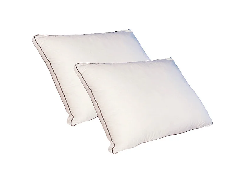 Lot de 2 oreillers sensation duvet en percale de coton 91 fils/cm² 50 x 70 cm - 700 gr - Blanc - AUXENCE