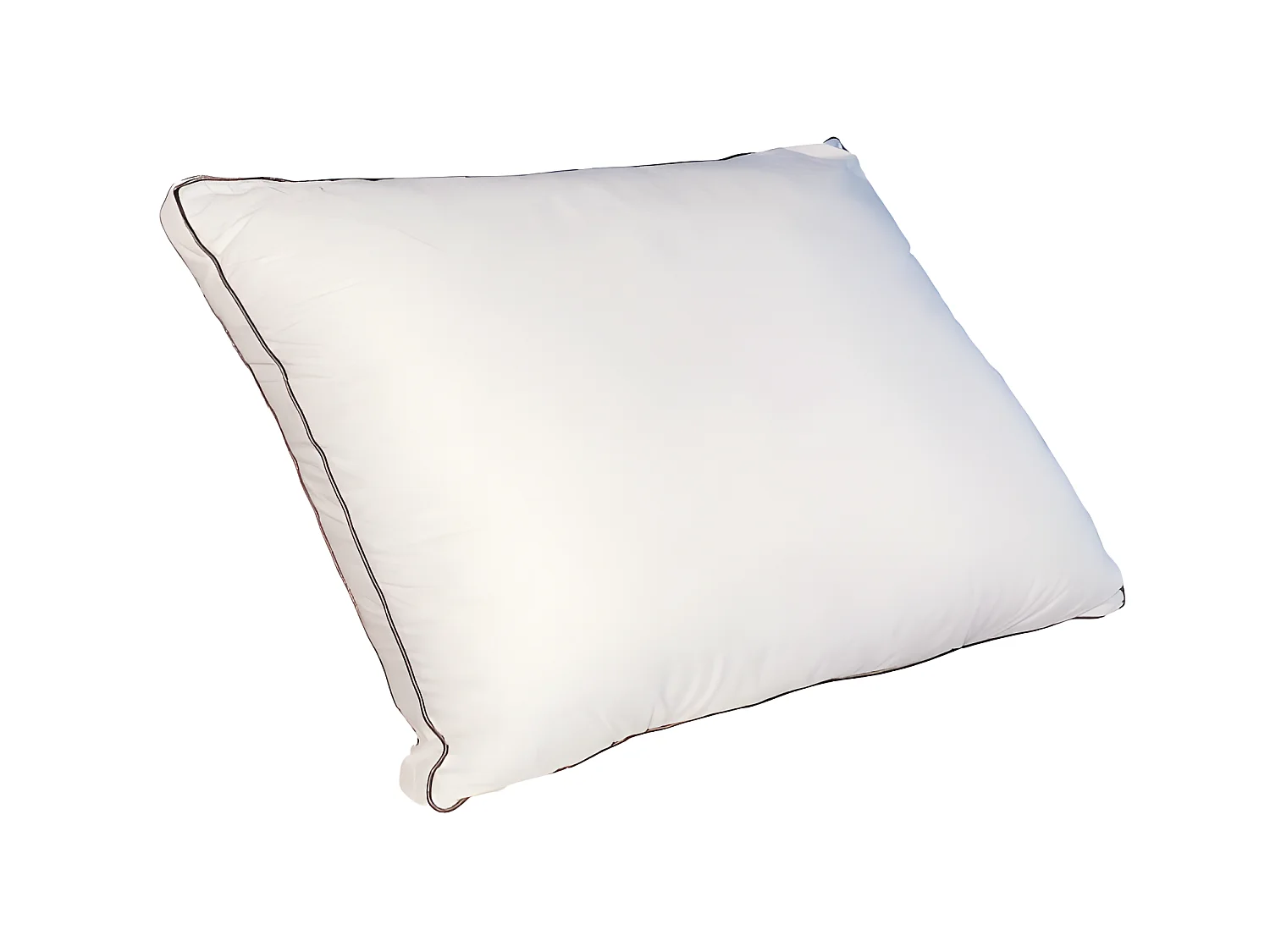 Lot de 2 oreillers sensation duvet en percale de coton 91 fils/cm² 50 x 70 cm - 700 gr - Blanc - AUXENCE