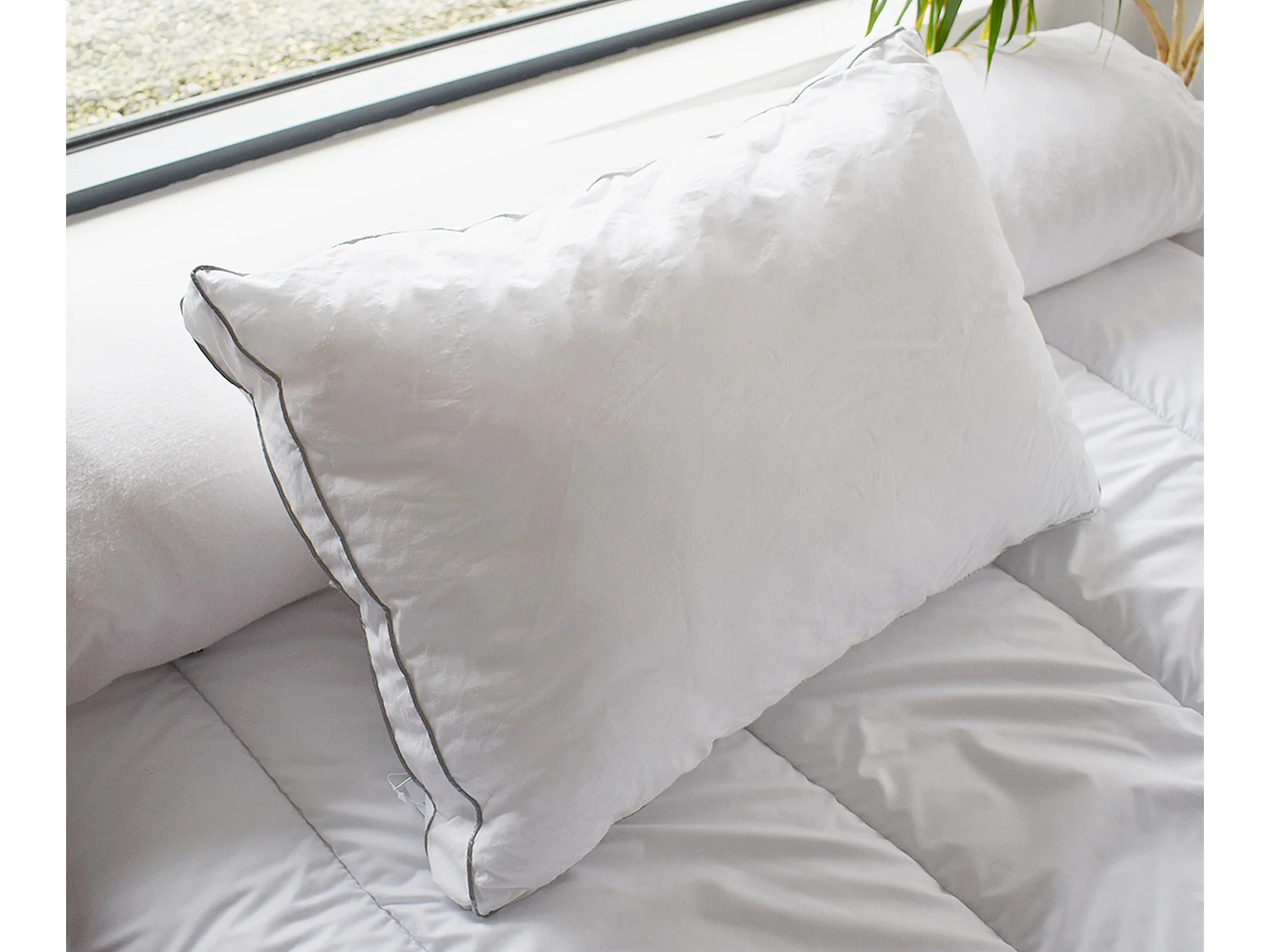 Lot de 2 oreillers sensation duvet en percale de coton 91 fils/cm² 50 x 70 cm - 700 gr - Blanc - AUXENCE