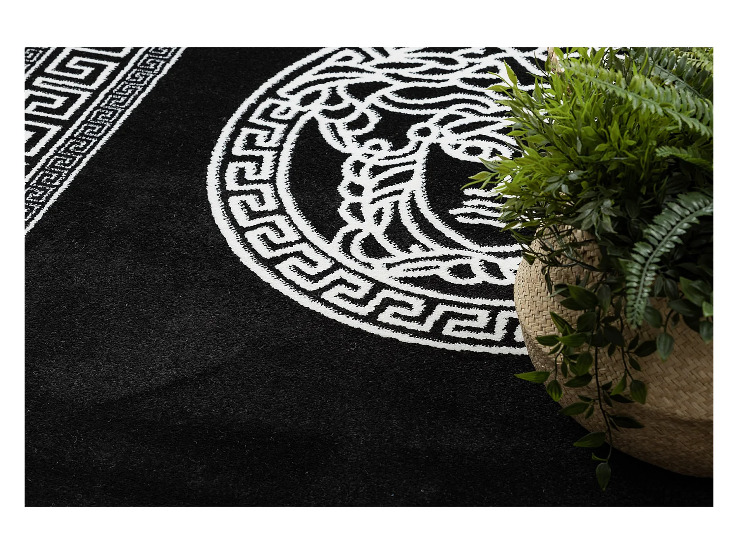 Tapijt HAMPTON Medusa grieks kwallen zwart 160x220 cm