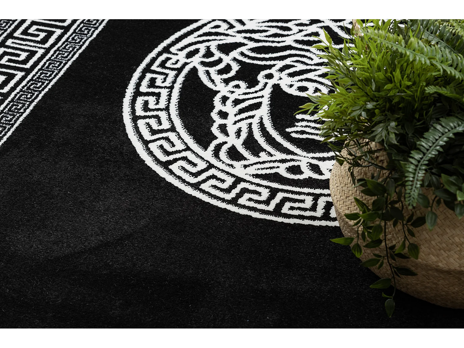 Tapijt HAMPTON Medusa grieks kwallen zwart 160x220 cm