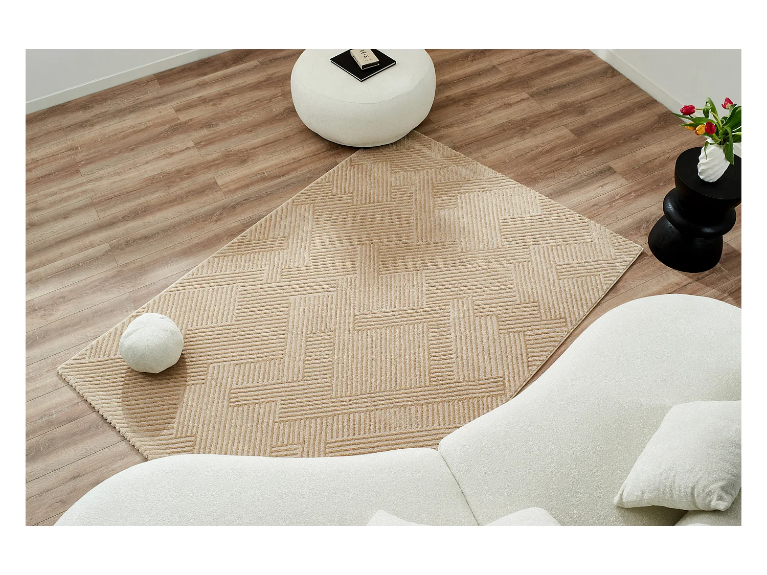 Tapis de salon - Beige - Graphique - Bianca - 160x230 cm