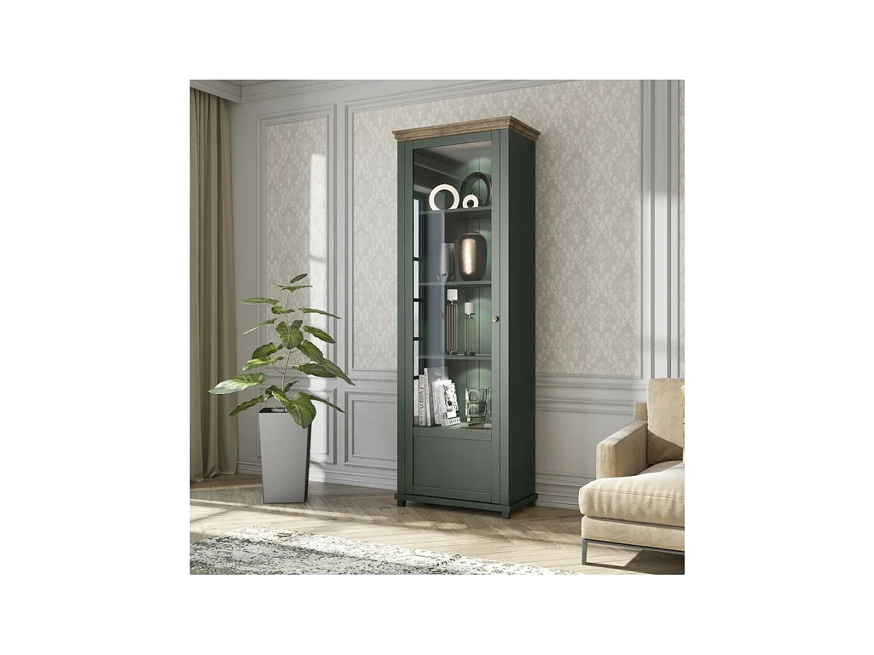 Vitrine 1 porte avec LED intégrées collection ASSIA. Coloris vert et chêne. Ouverture gauche