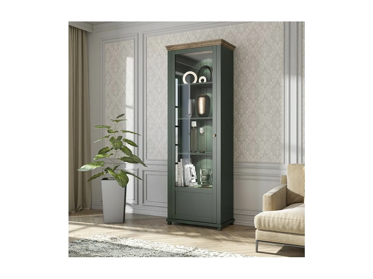 Vitrine 1 porte avec LED intégrées collection ASSIA. Coloris vert et chêne. Ouverture gauche
