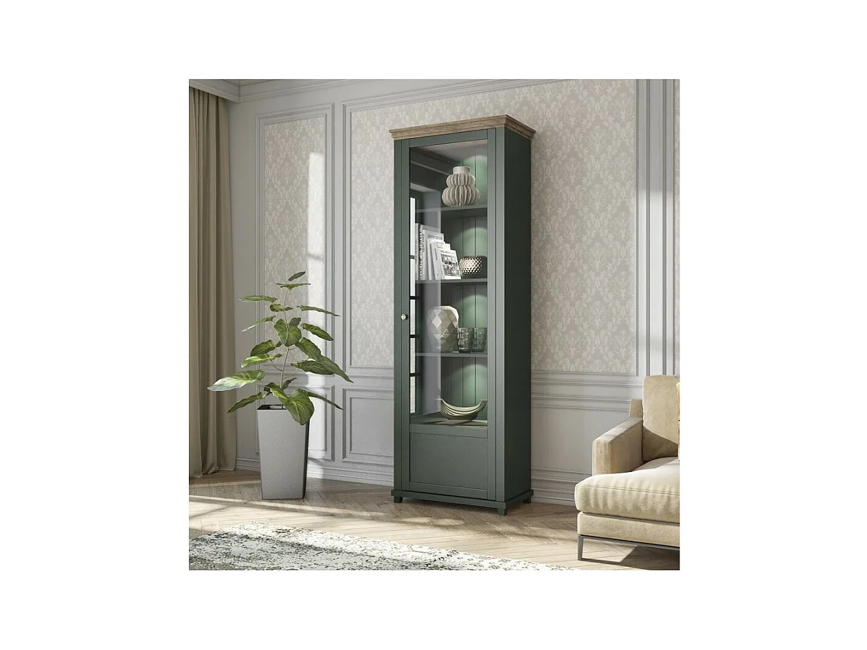 Vitrine 1 porte avec LED intégrées collection ASSIA. Coloris vert et chêne. Ouverture droite