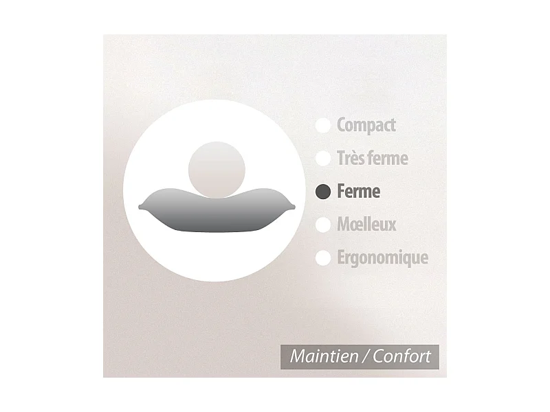 Oreiller 40x60 cm GRIZZ'LIT FLOTEX Fibre creuse Polyester