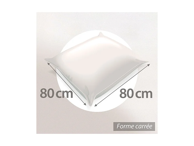 Oreiller 80x80 cm GRIZZ'LIT FLOTEX Fibre creuse Polyester