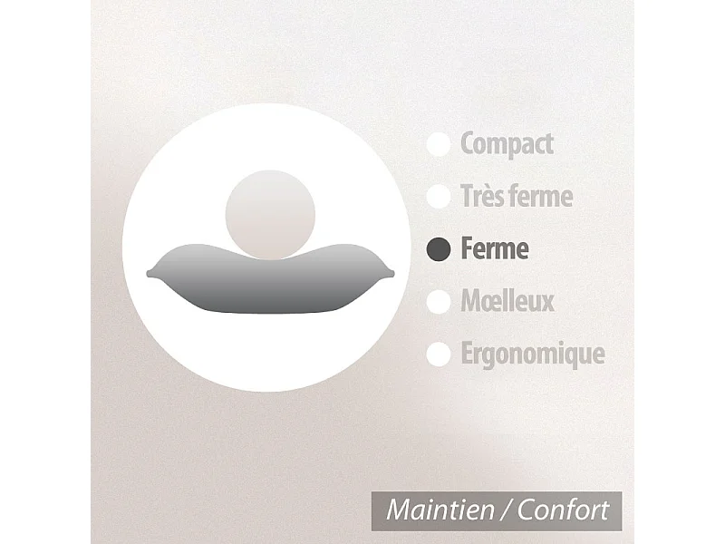 Oreiller 80x80 cm GRIZZ'LIT FLOTEX Fibre creuse Polyester