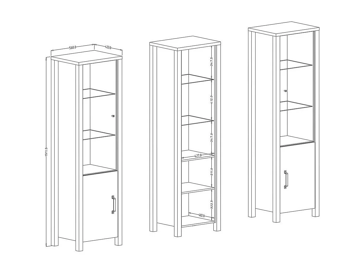 Hoher Designschrank, 2 Türen, Kollektion DARWIN. Farbe helles Eichenholz und Schwarz.