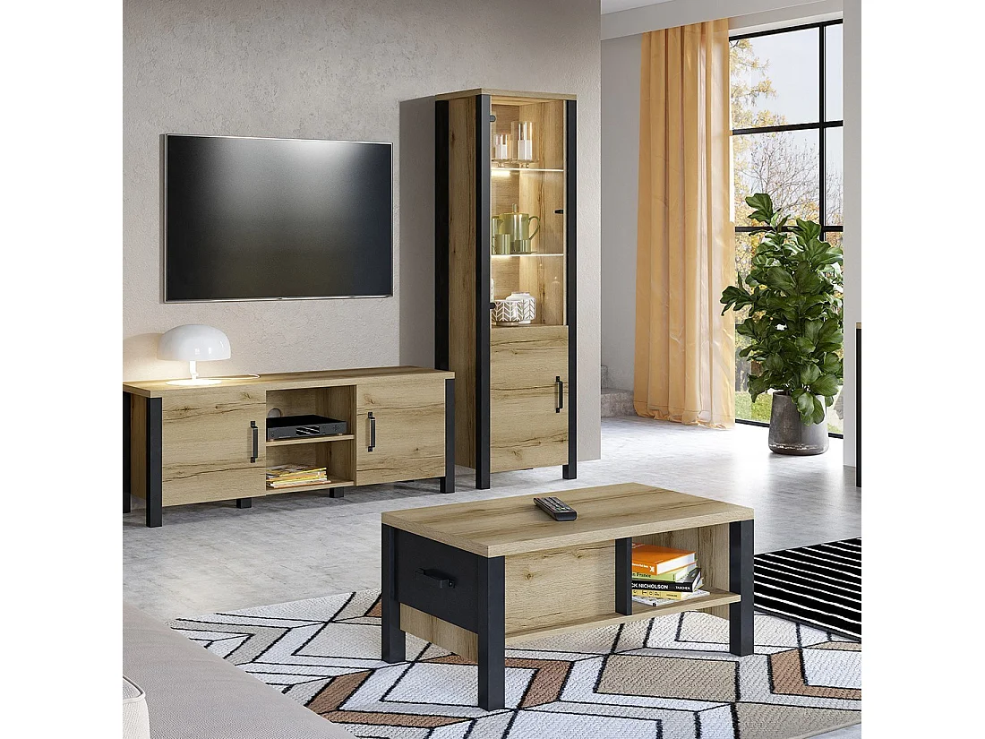 Hoher Designschrank, 2 Türen, Kollektion DARWIN. Farbe helles Eichenholz und Schwarz.