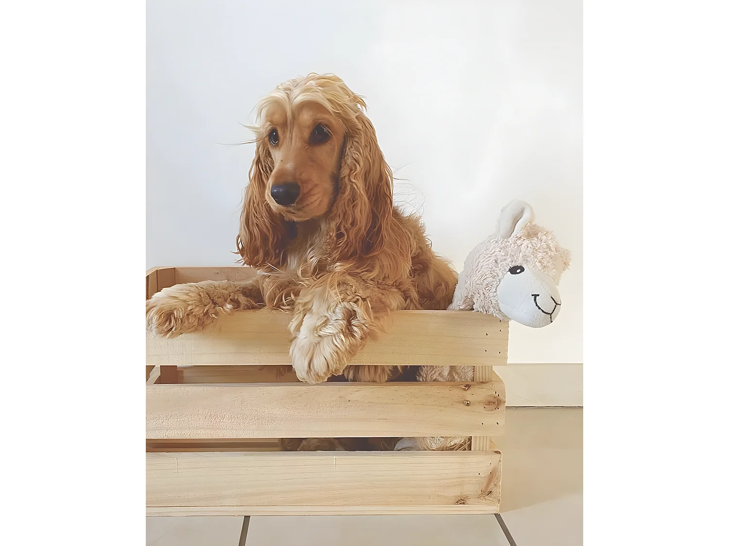 Scatola in legno massello in tono naturale 49x30,5x25,5cm - BOX - DECOWOOD