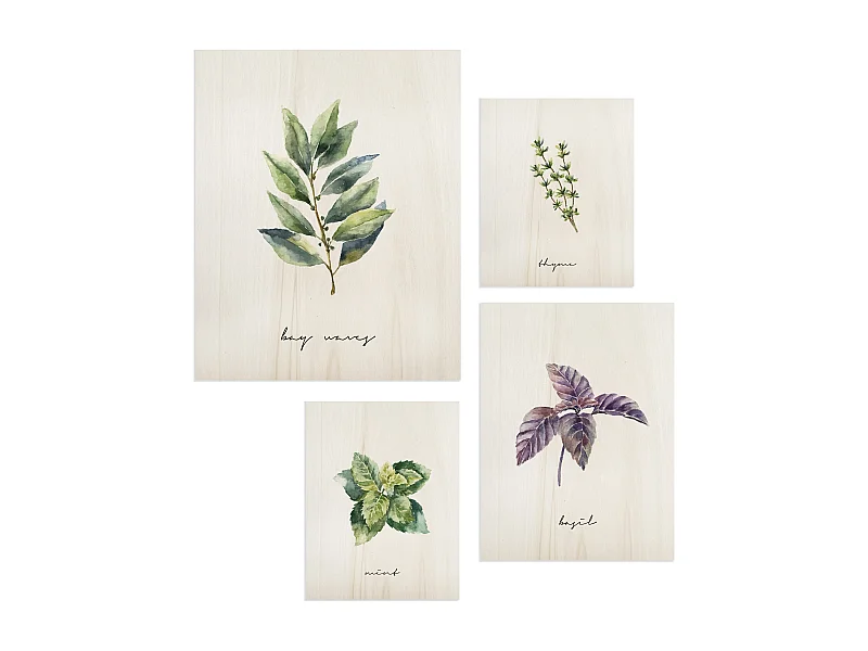 Pack de cuadros Plants