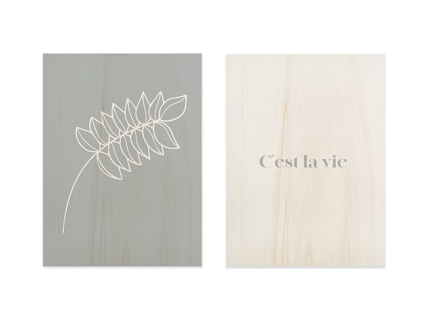 Pack de 2 cuadros C'est la vie blue