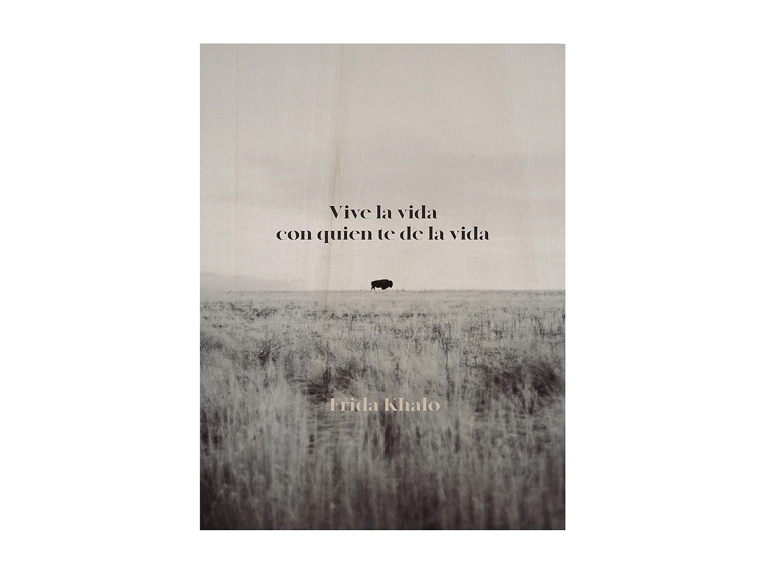 Cuadro de madera Vive la vida