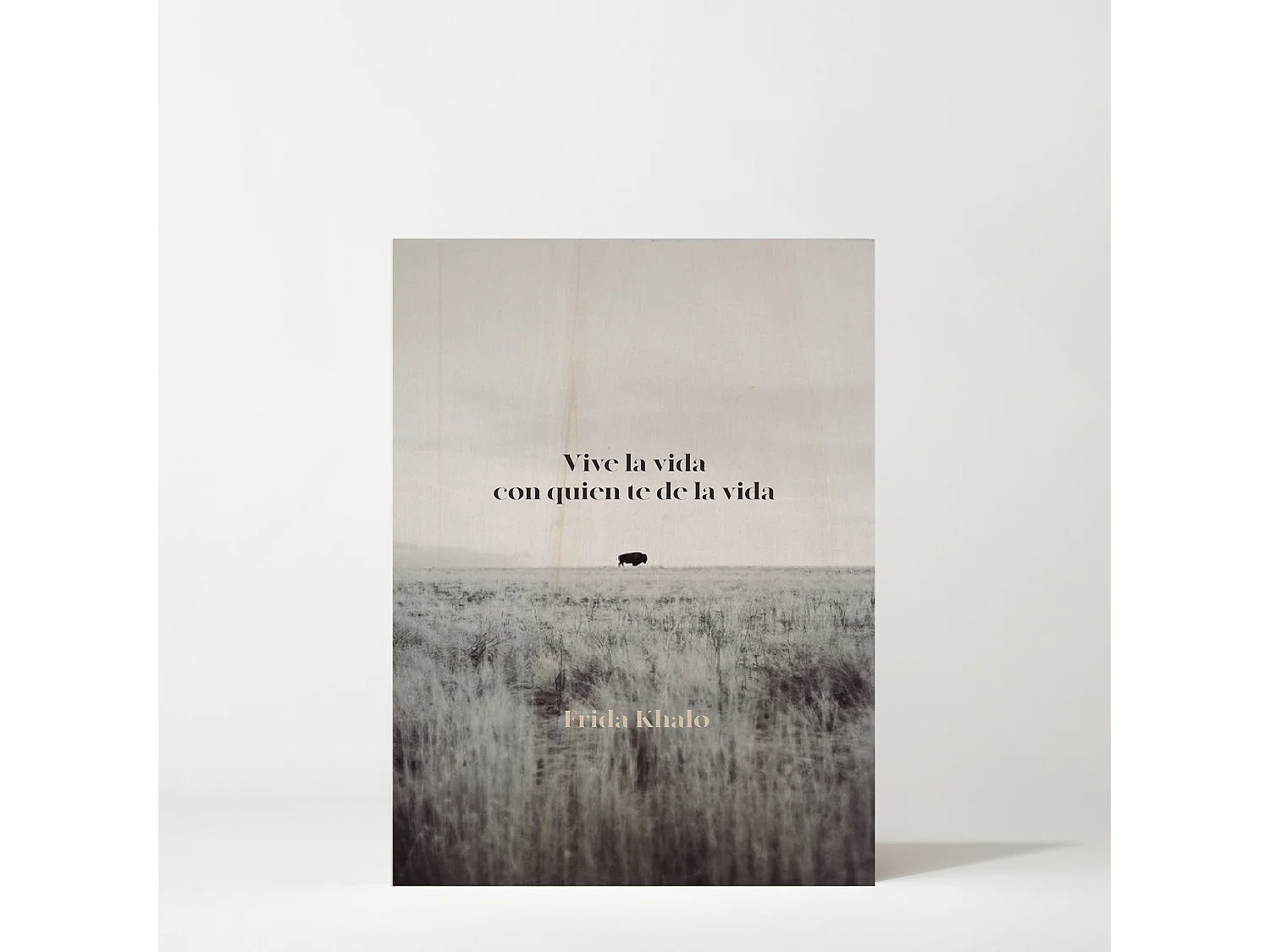 Cuadro de madera Vive la vida