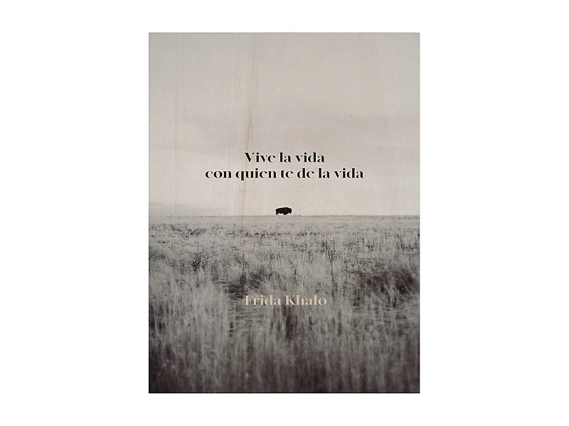 Cuadro de madera Vive la vida