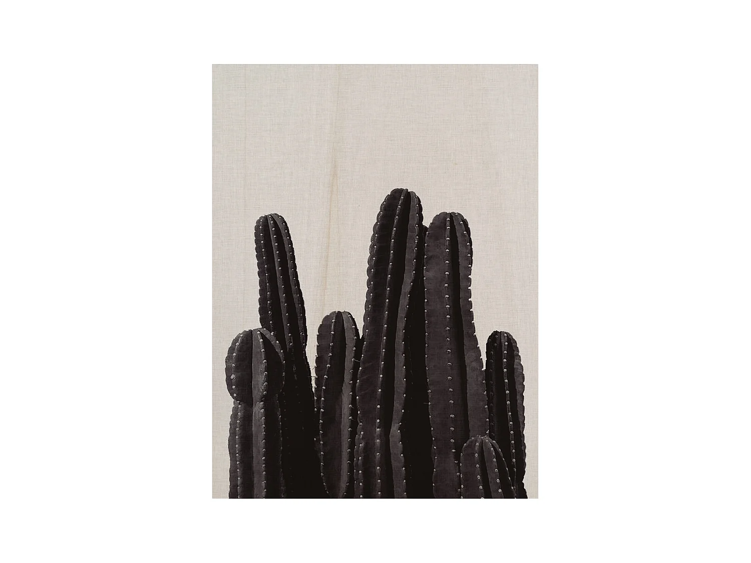 Cuadro de madera Cactus