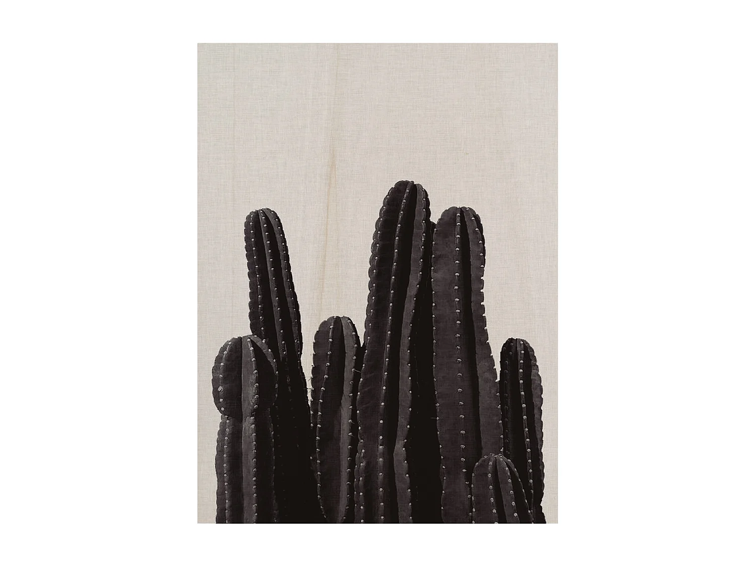 Cuadro de madera Cactus