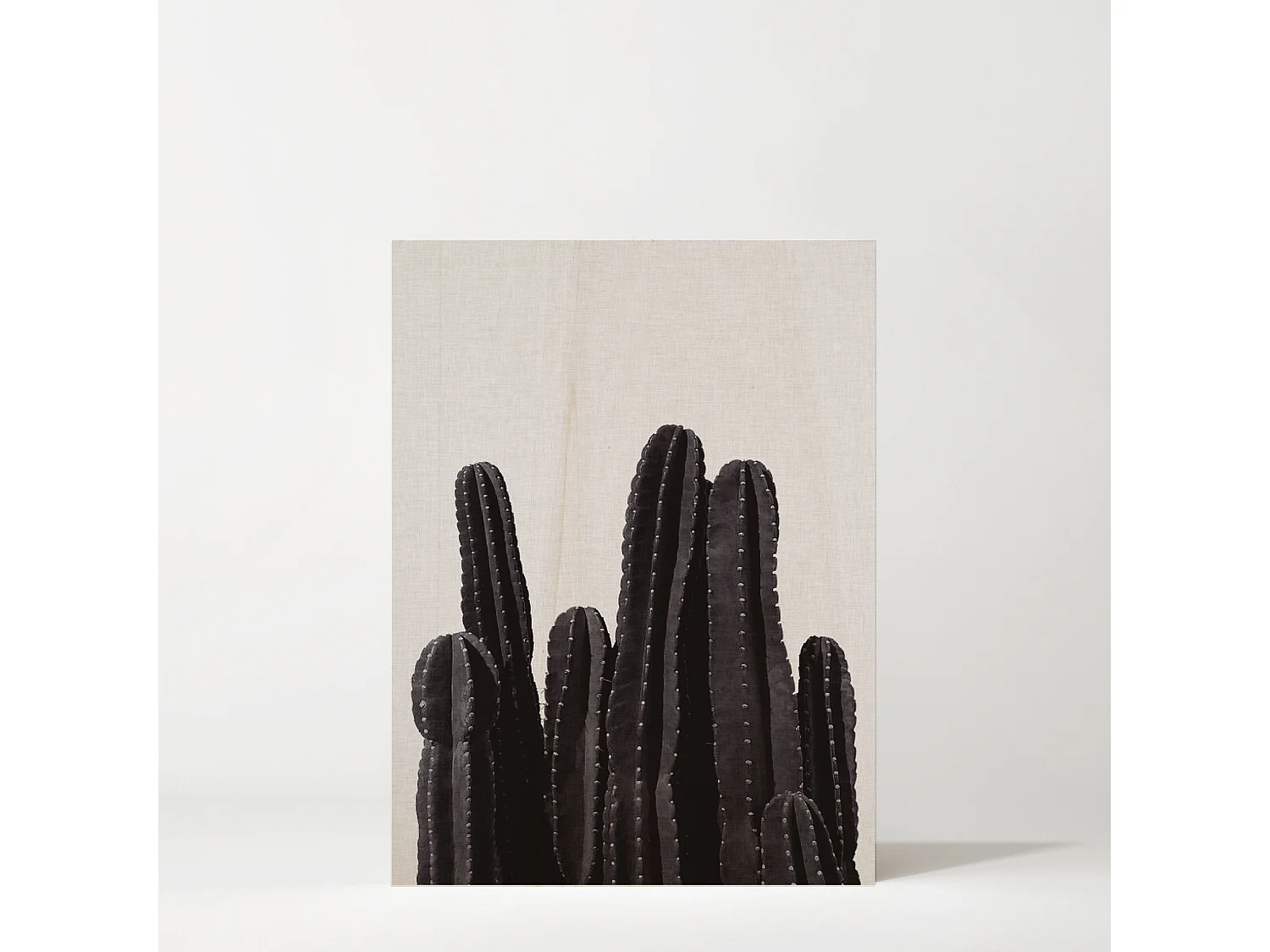 Cuadro de madera Cactus