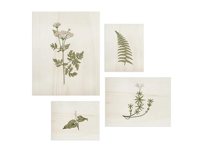 Pack de cuadros con motivos Botánicos