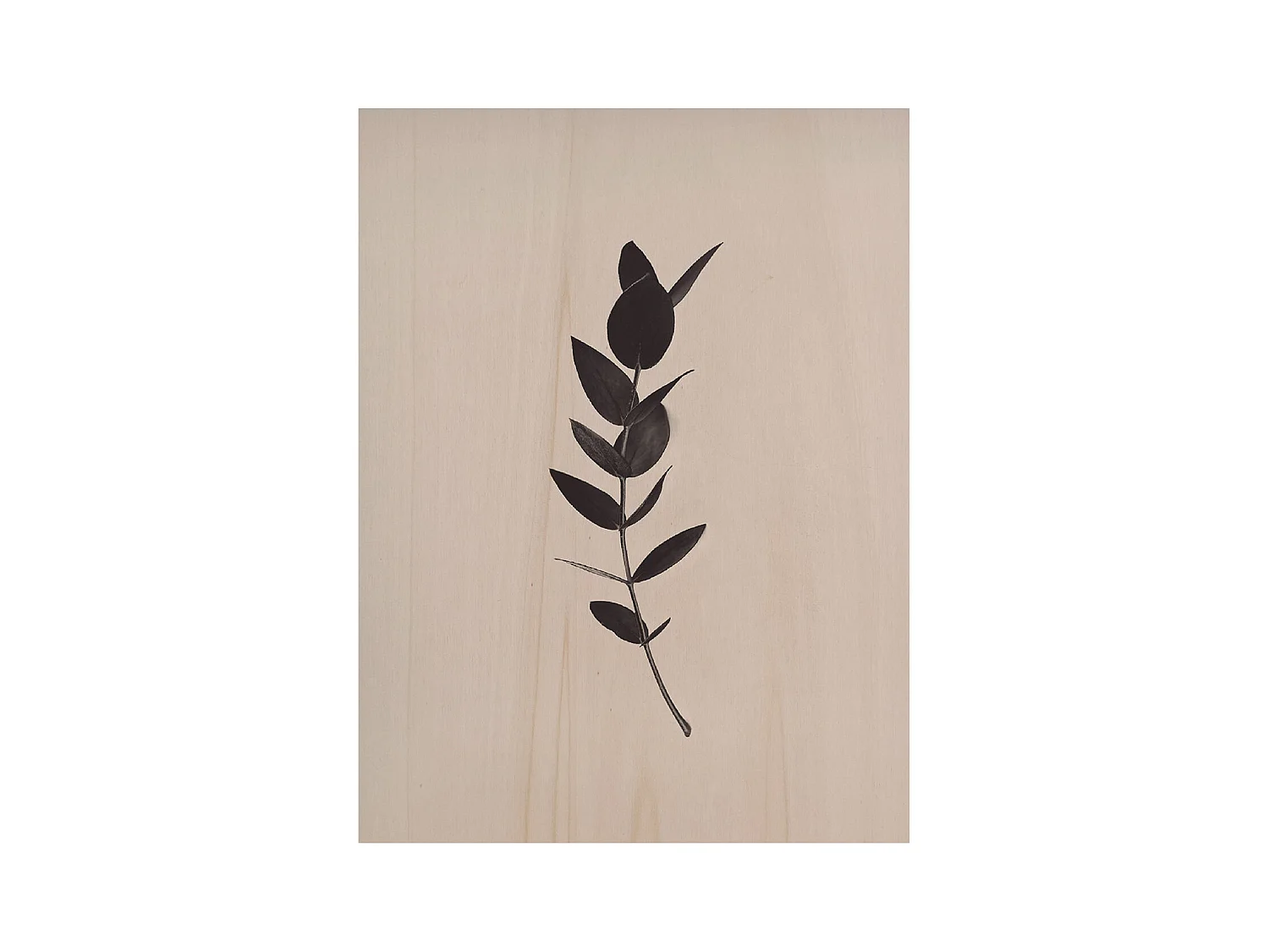 Cuadro de madera Green Plant II