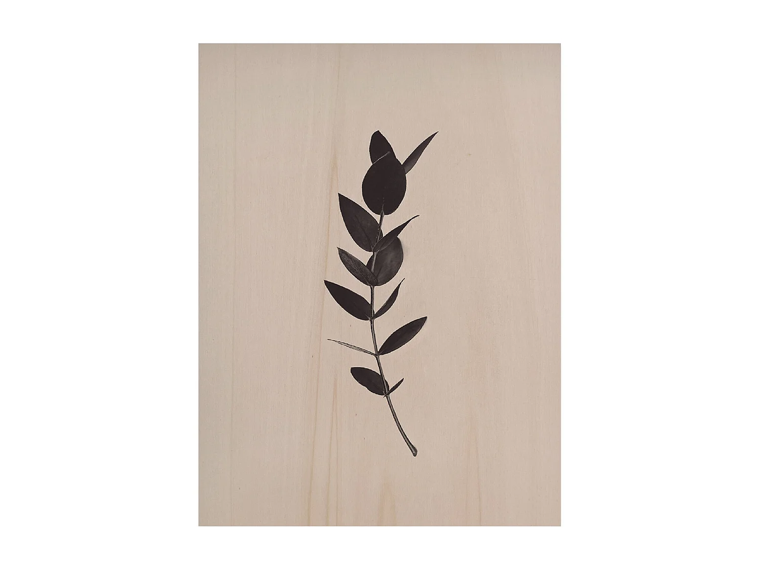 Cuadro de madera Green Plant II