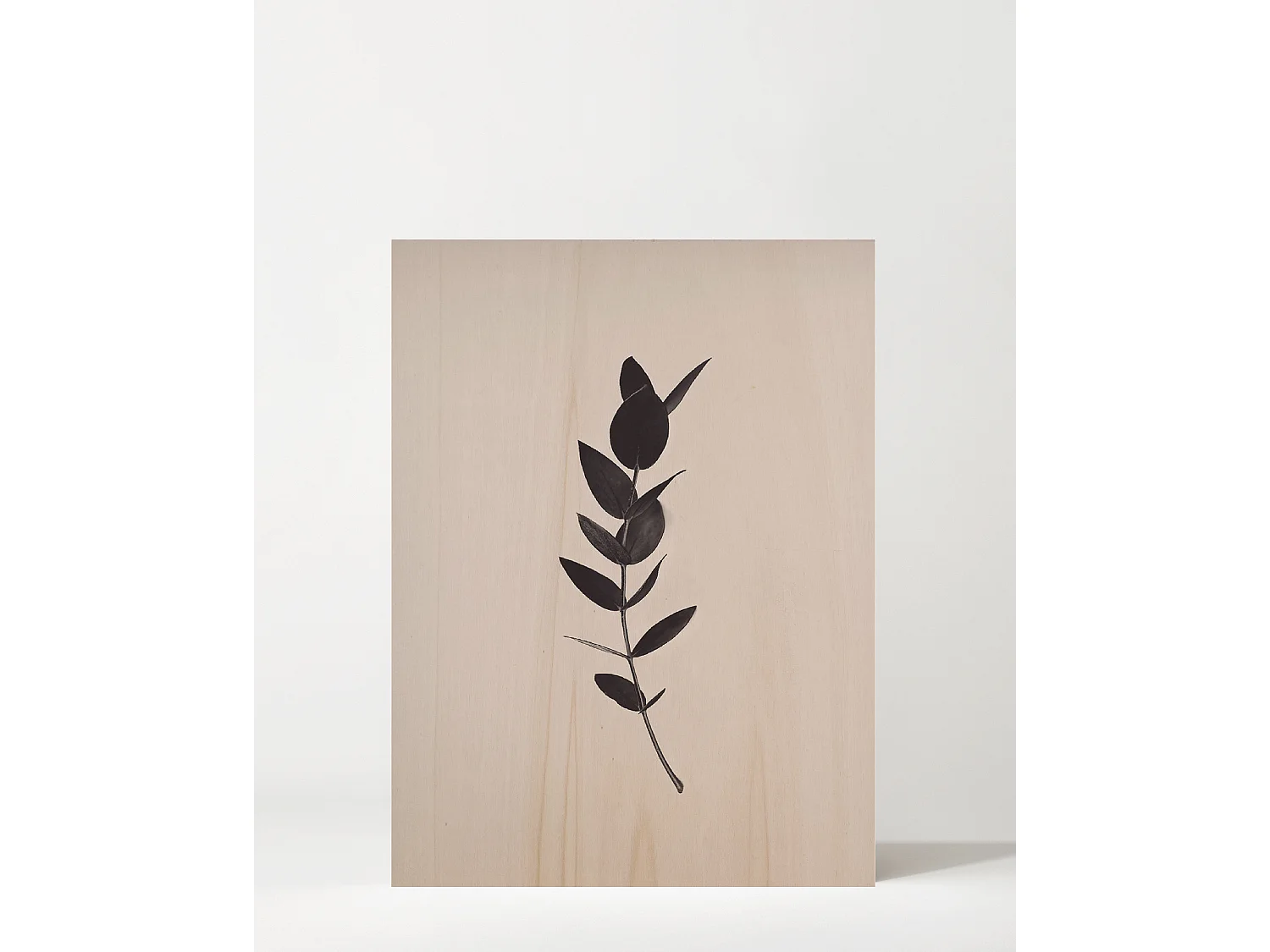 Cuadro de madera Green Plant II