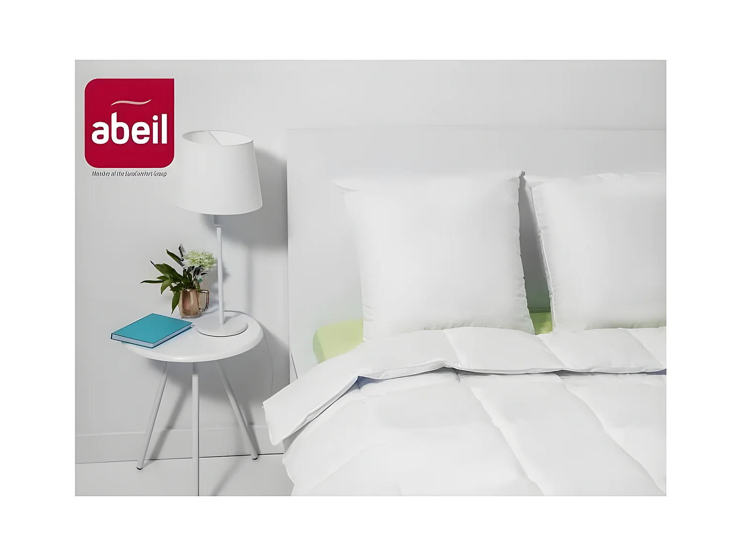 ABEIL Lot de 2 Oreillers Bio Confort - 60 x 60 cm - Blanc