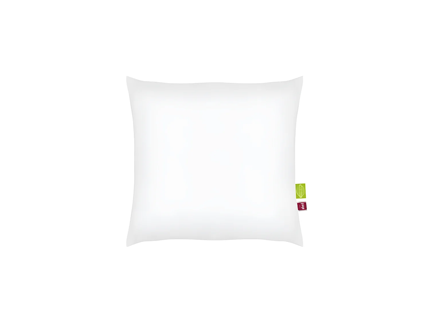 ABEIL Lot de 2 Oreillers Bio Confort - 60 x 60 cm - Blanc