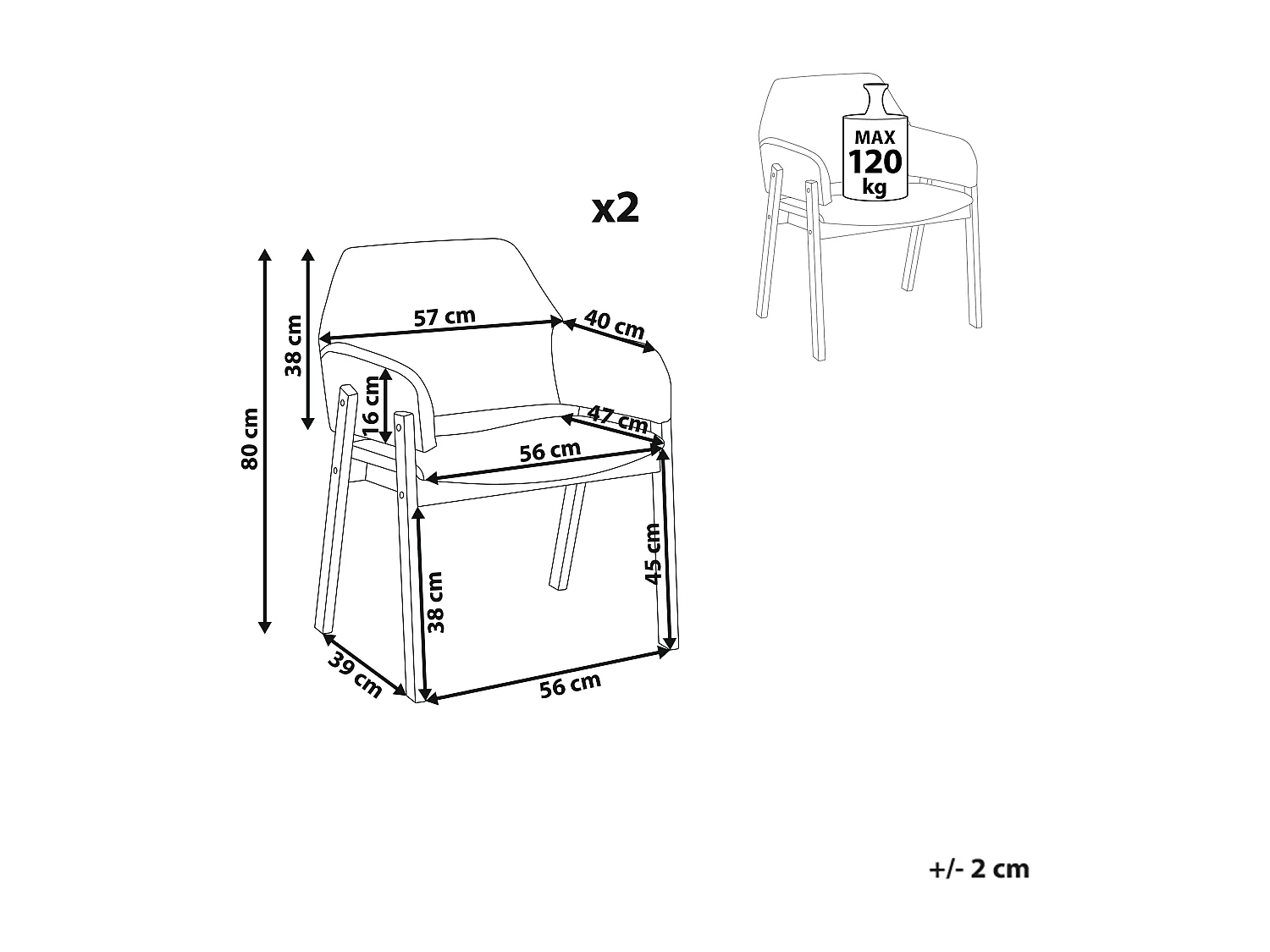 Set van 2 eetkamerstoelen ALBION Grijs