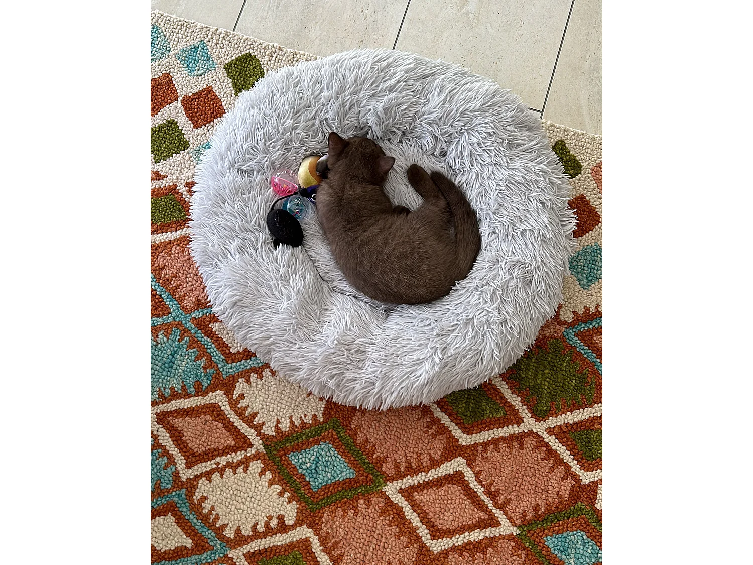 Tapis en laine 160 x 230 cm multicolore ERMENEK